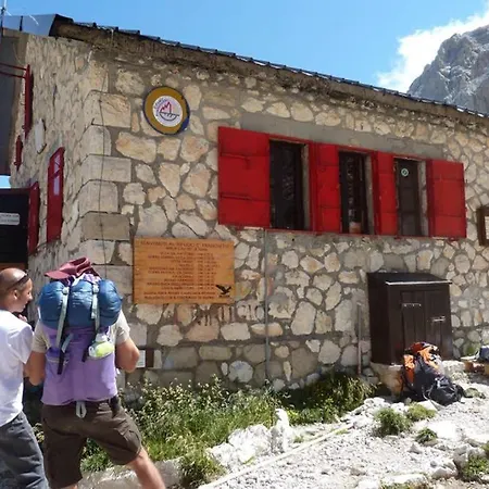 Superior Orso Bianco, Parquet, Wi-fi