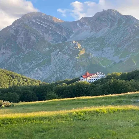 Superior Orso Bianco, Parquet, Wi-fi