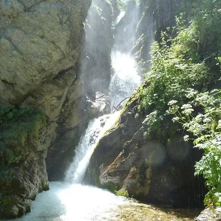 Apartment Superior Orso Bianco, Parquet, Wi-fi *