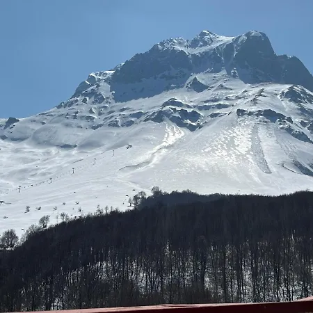 Superior Orso Bianco, Parquet, Wi-fi