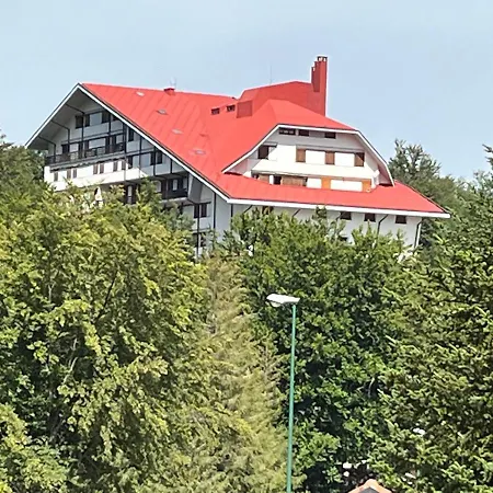 Superior Orso Bianco, Parquet, Wi-fi *