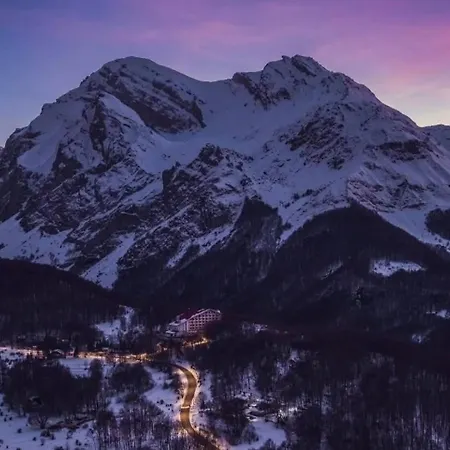 Superior Orso Bianco, Parquet, Wi-fi *