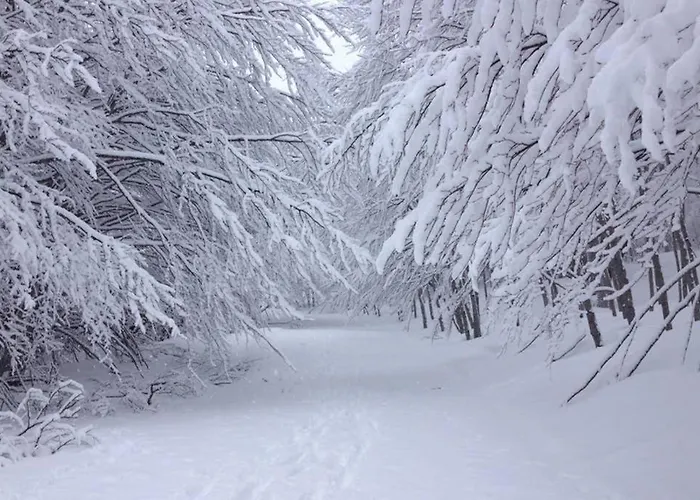 Superior Orso Bianco, Parquet, Wi-fi Апартаменты