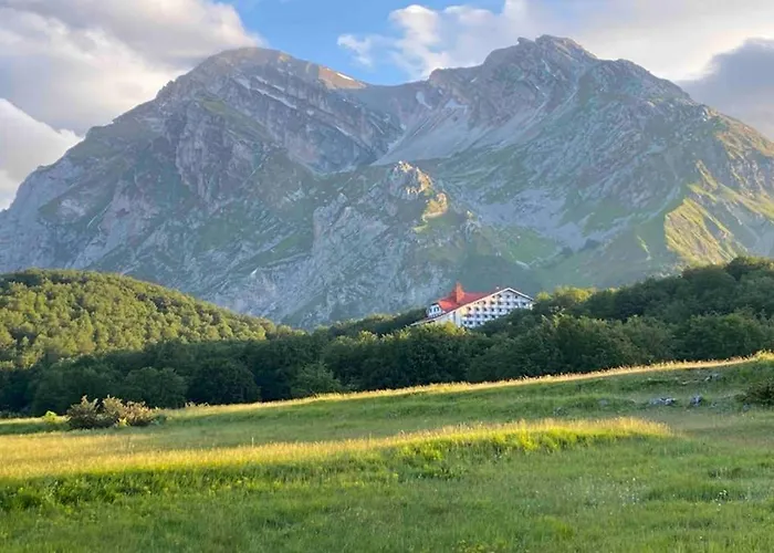 Superior Orso Bianco, Parquet, Wi-fi