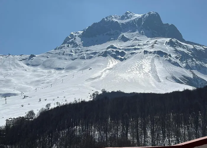 Superior Orso Bianco, Parquet, Wi-fi