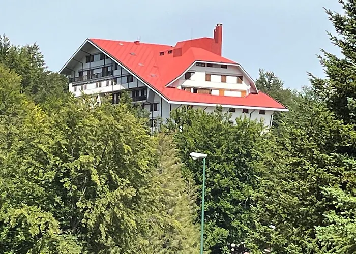 Superior Orso Bianco, Parquet, Wi-fi *