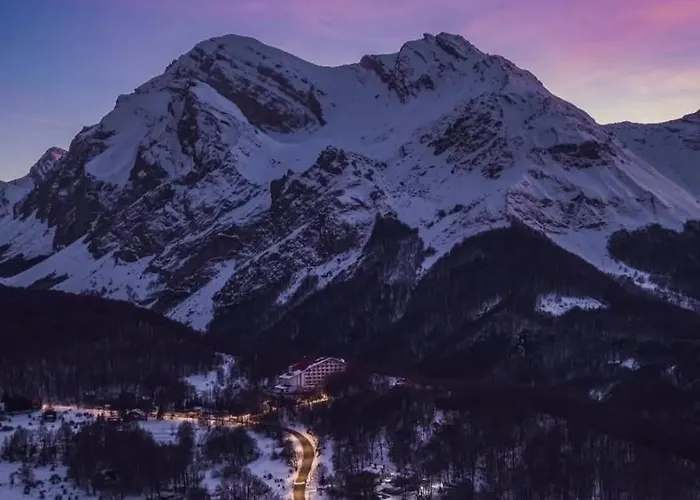 Superior Orso Bianco, Parquet, Wi-fi *